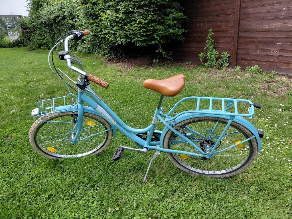 kinderfiets Minerva 20 inch, Enlèvement