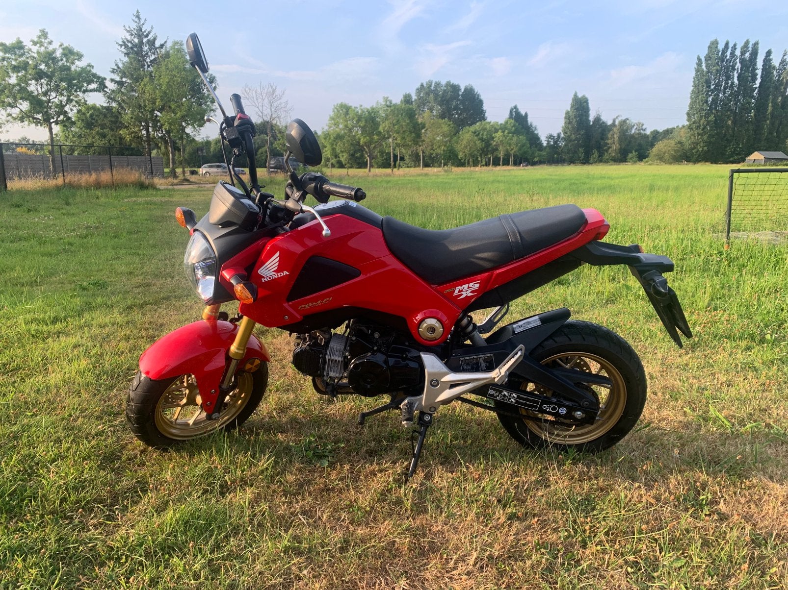 Honda msx/grom 125, Motoren, Motoren | Honda, Particulier