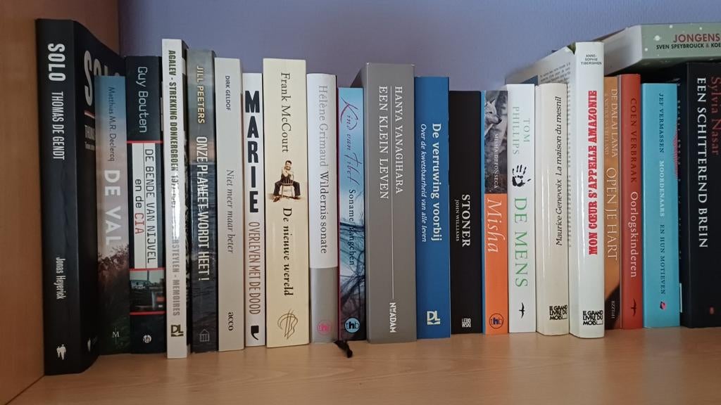 Diverse boeken te koop., Ophalen of Verzenden, Gelezen, Verschillende onderwerpen
