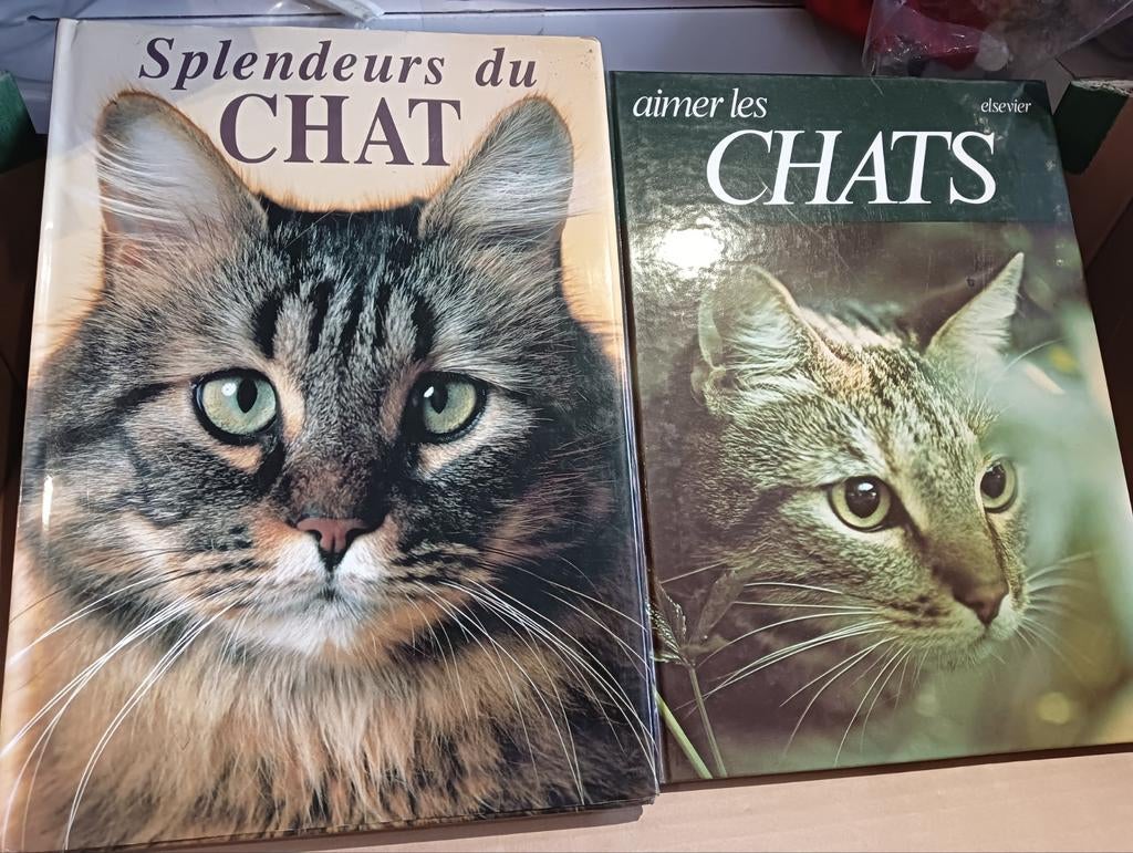 2 encyclopédies "Chats", Chats