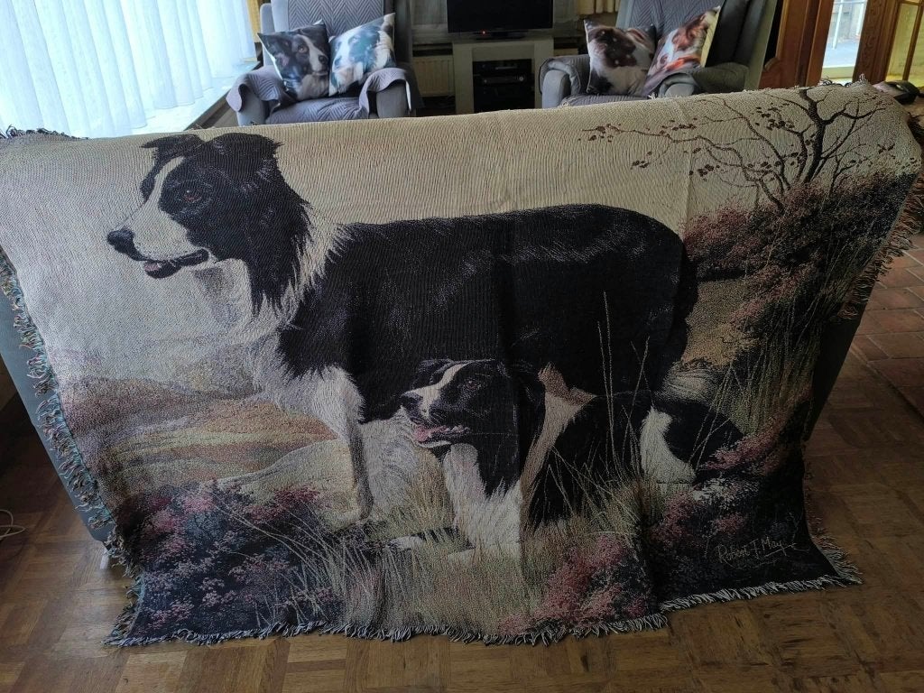 Prachtige Geweven Border Collie Plaid, 175 cm, 125 cm, Met franjes/kwastjes, Ophalen of Verzenden