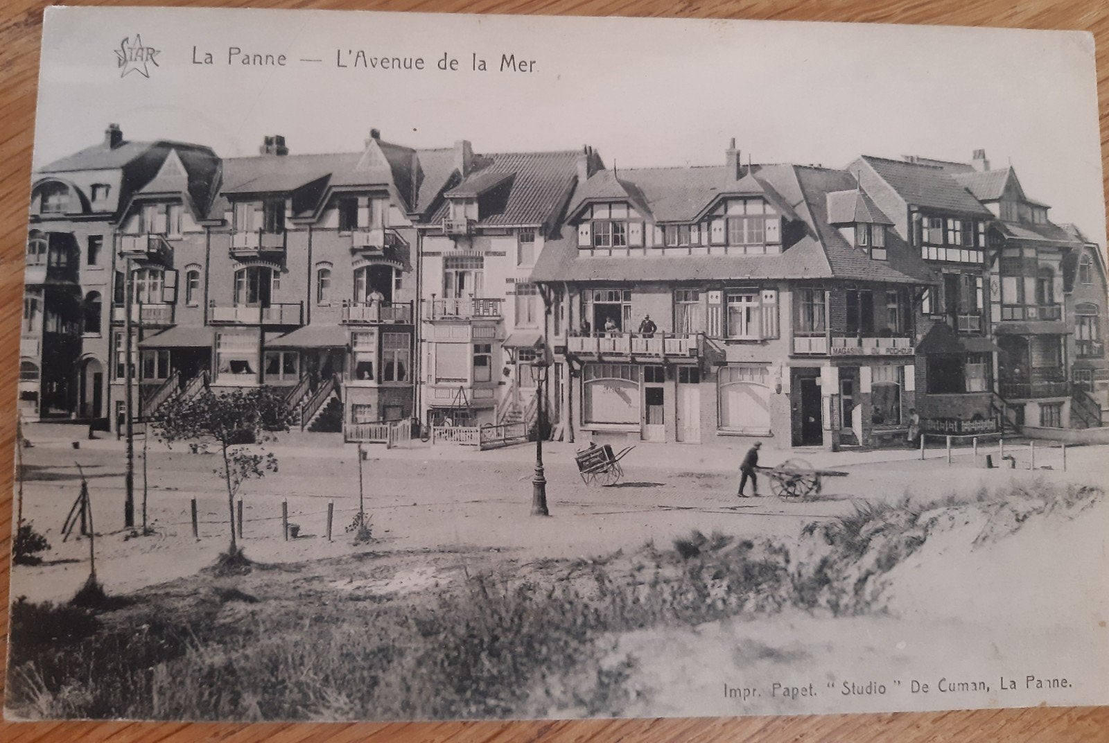 la PANNE avenue de la MER TOP, Ophalen of Verzenden