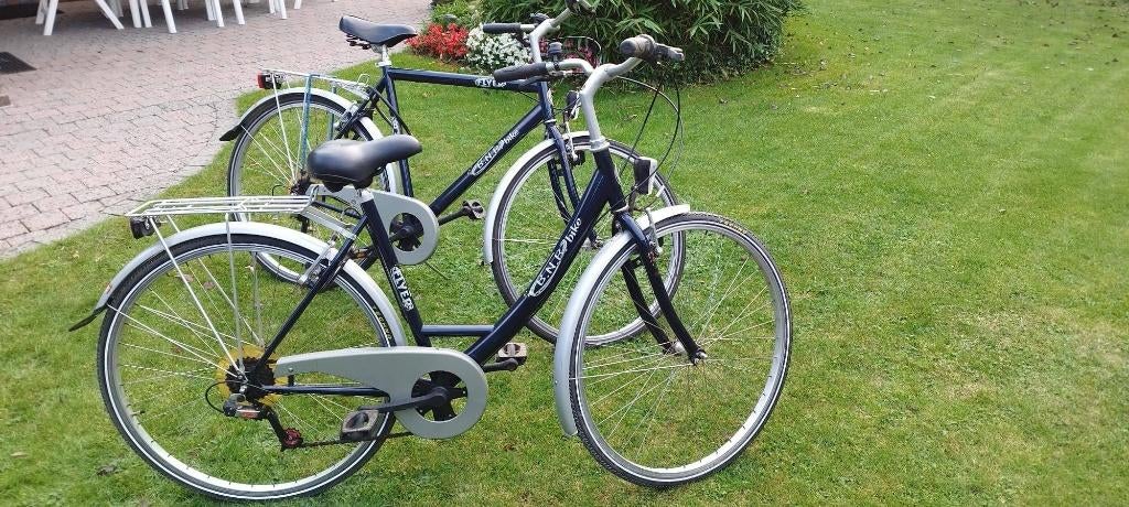 Heren- en damesfiets BNB Flyer (28/26 inch), Ophalen, Gebruikt, Overige merken, Versnellingen