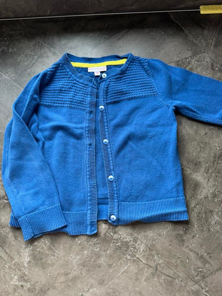 Vestje Hampton Bays, Kinderen en Baby's, Ophalen of Verzenden, Gebruikt, Meisje, Trui of Vest