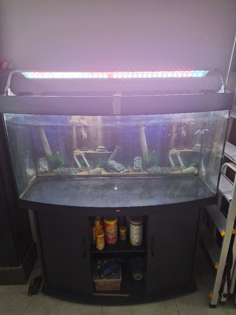 Aquarium, Enlèvement, Utilisé, Aquarium vide, Juwel