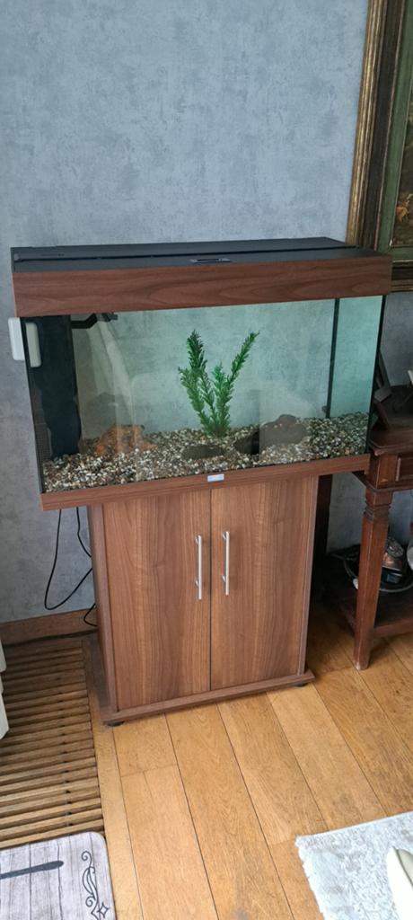 Aquarium Juwel 80 met onderkast, Ophalen, Verwarming, Filter, Juwel