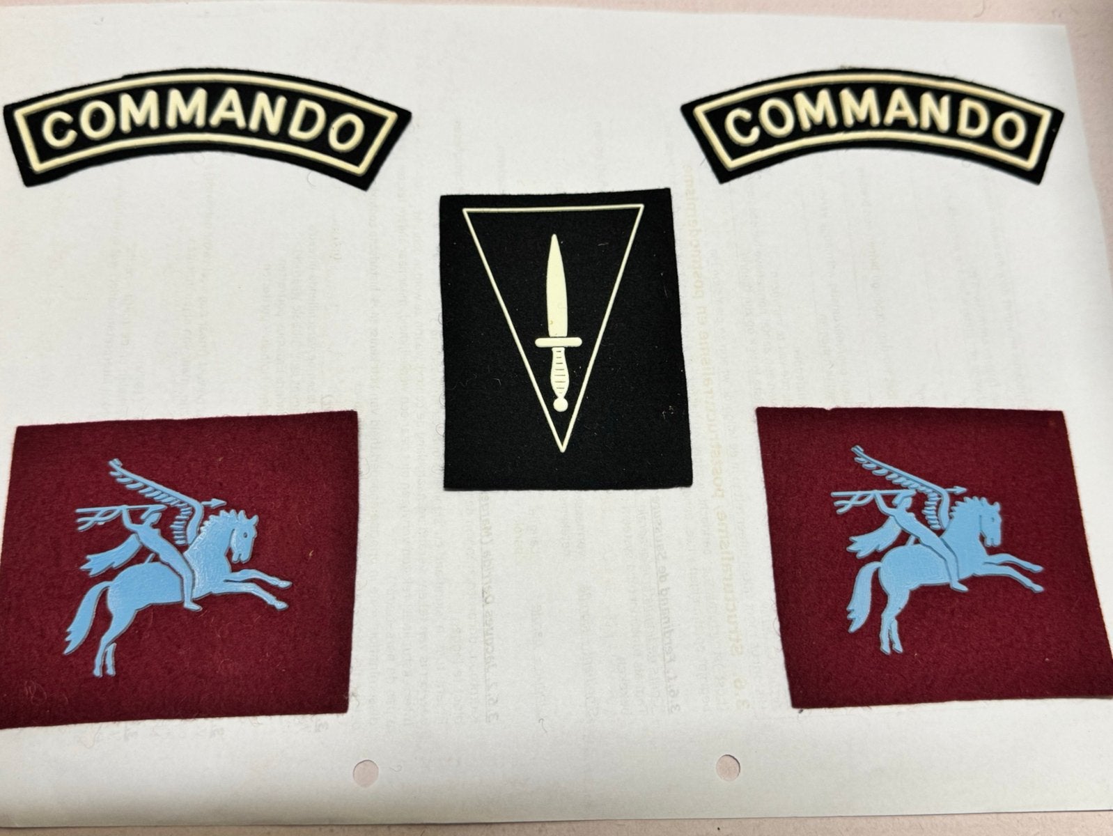 Insignes ABL para Commando, Enlèvement ou Envoi, Armée de terre, Emblème ou Badge