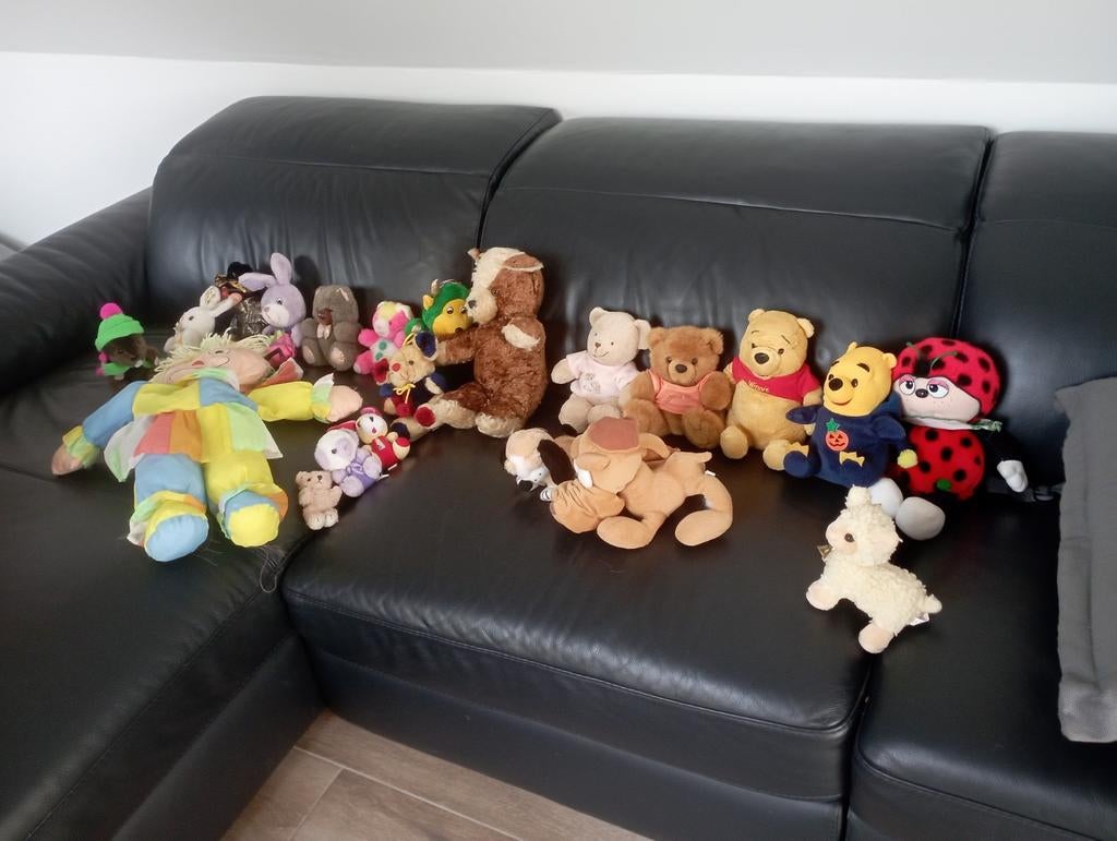 Diverse knuffelberen en winnie de poeh