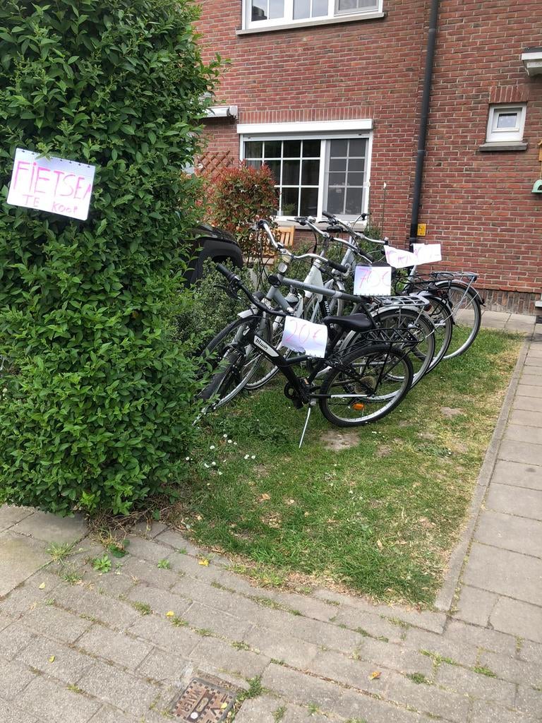 Hier zijn viet fietsen, Fietsen en Brommers, Ophalen, Gebruikt