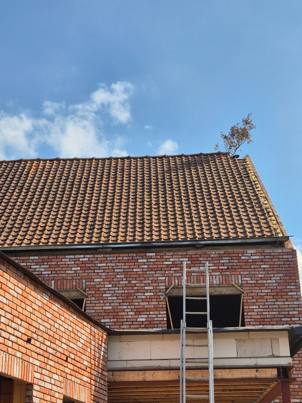 Dakpannen te koop, Doe-het-zelf en Bouw, Ophalen, Dakpannen