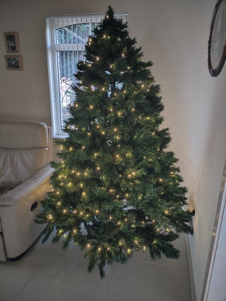 Kerstboom, Ophalen, Zo goed als nieuw