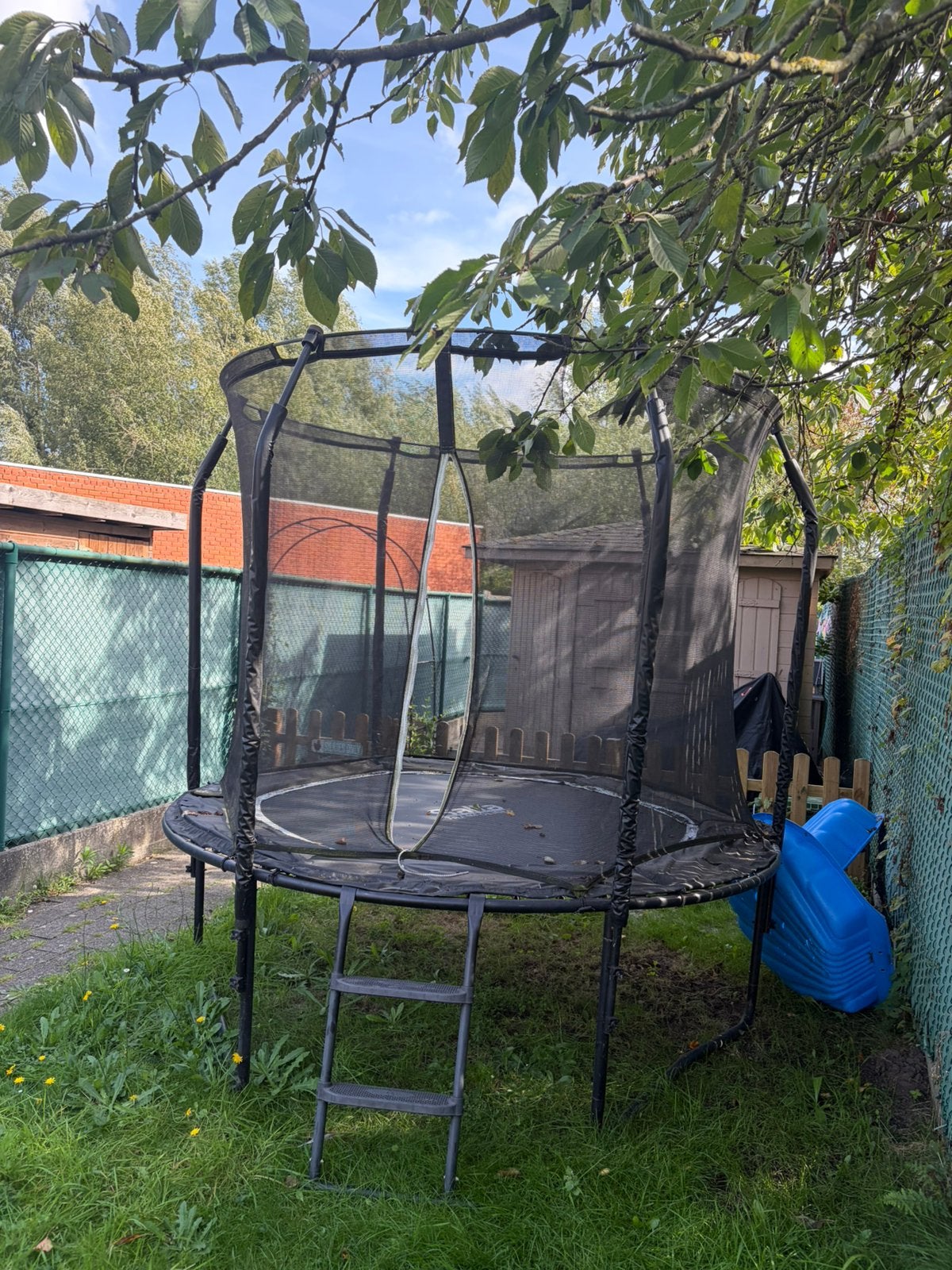 Salta Premium Black Edition trampoline 240 cm + net & trapje, Ophalen