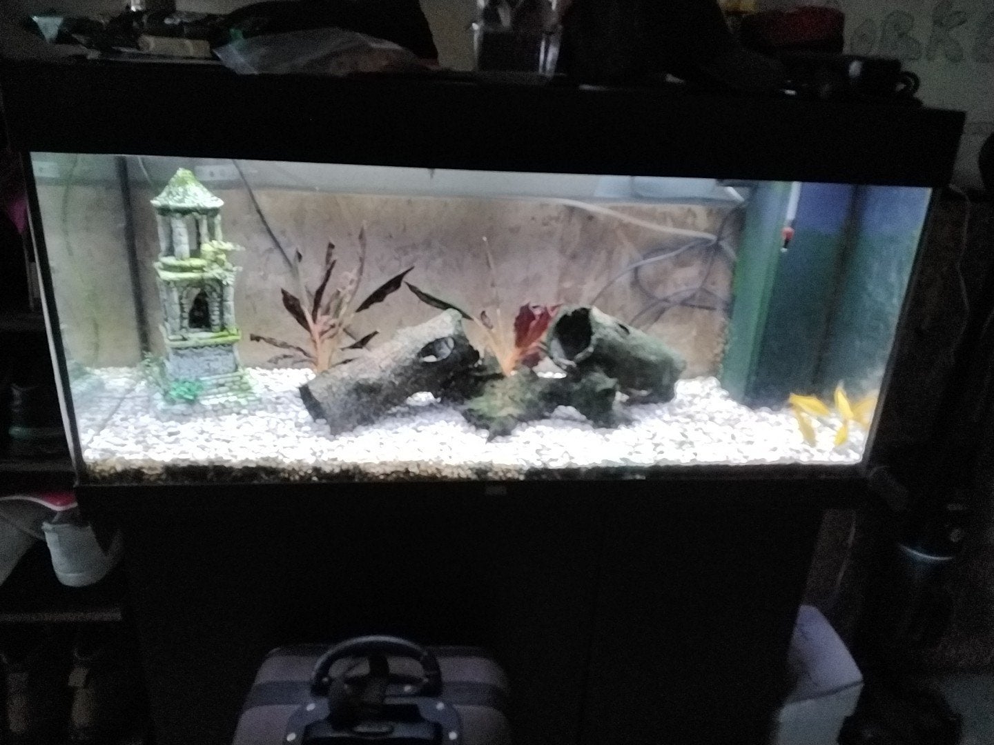 aquarium te koop met kast., Overige typen, Zoetwatervis
