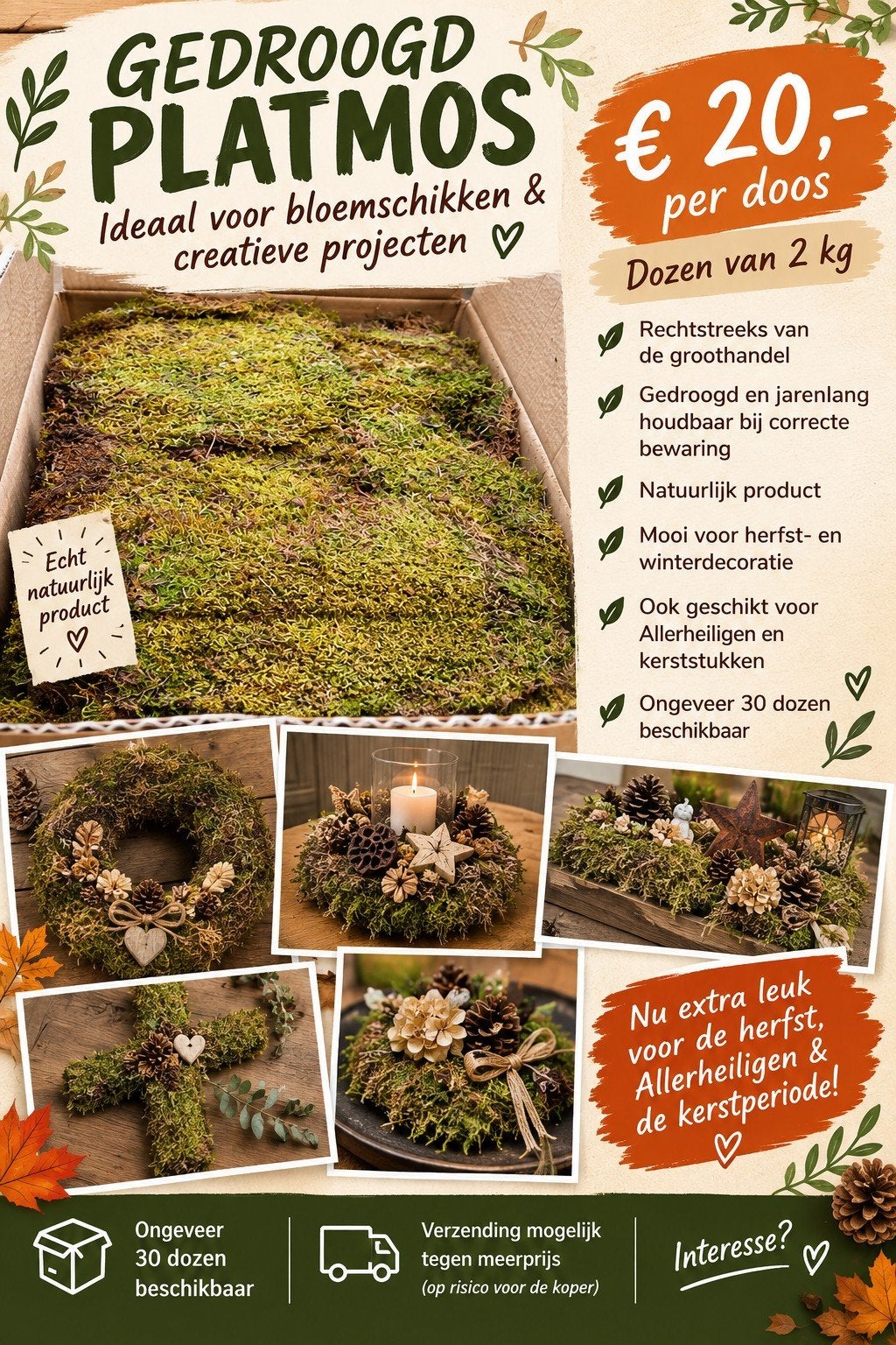 gedroogd mos, Vert, Enlèvement ou Envoi, Matériel de bricolage, Matériau naturel