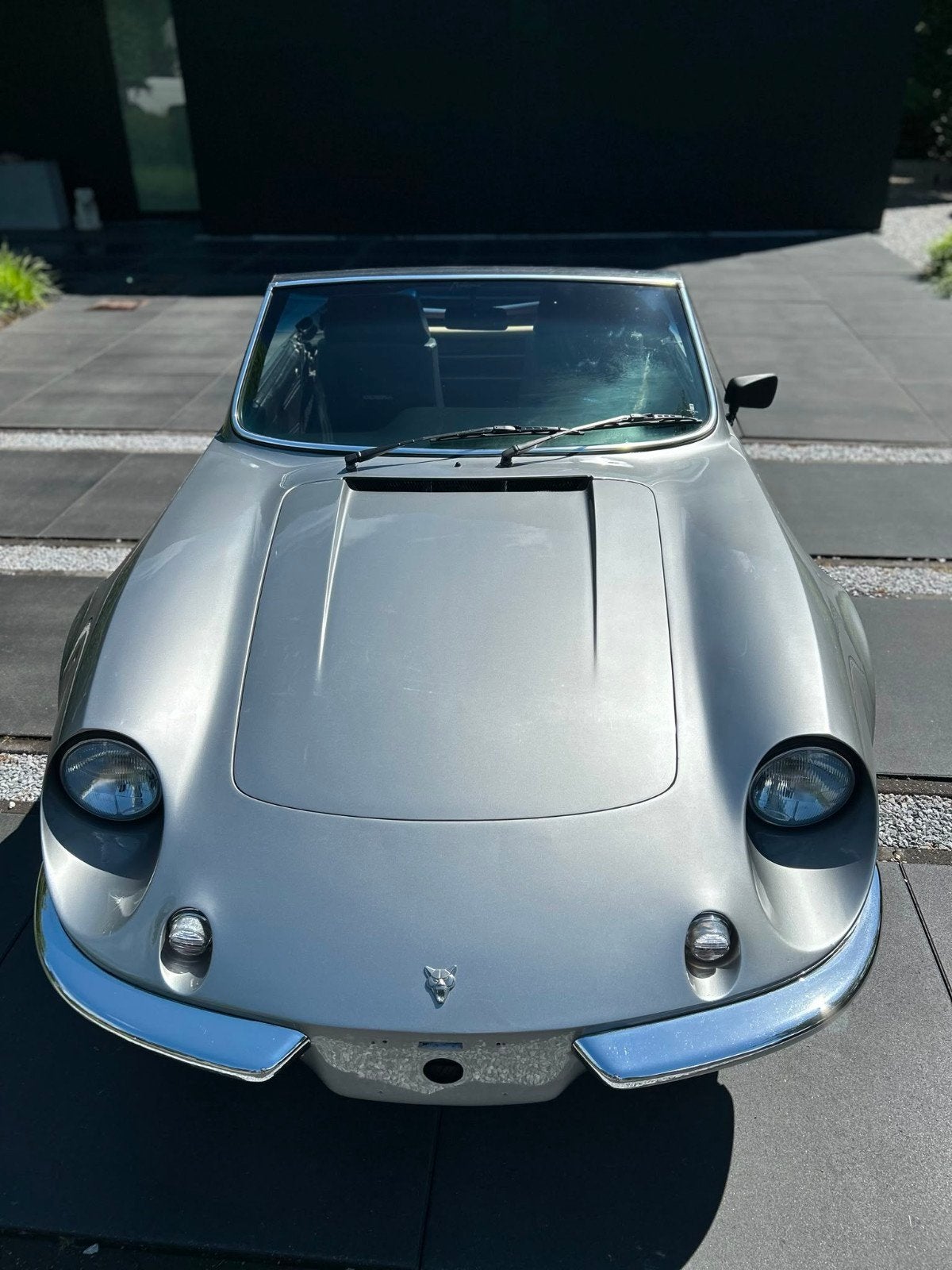 Puma cabrio, foto 6