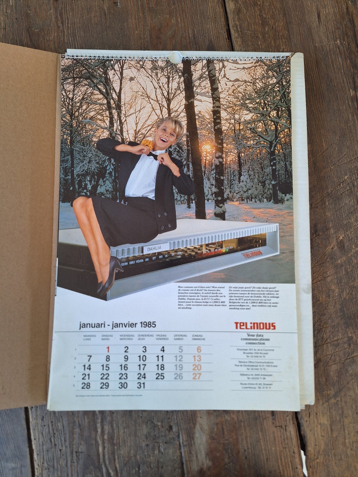 complete kalender 1985 Telindus, Antiek en Kunst, Ophalen of Verzenden
