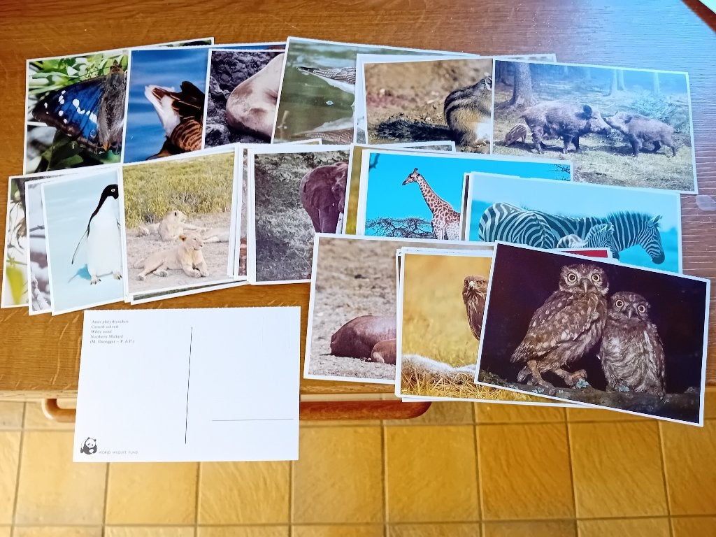 Lot Images Cartes Postales WWF Animaux, Verzamelen, Postkaarten | Dieren, Ophalen of Verzenden, Ongelopen