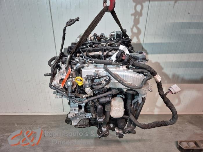 Motor van een Ford Transit Connect, Gebruikt, -, -, Ophalen of Verzenden