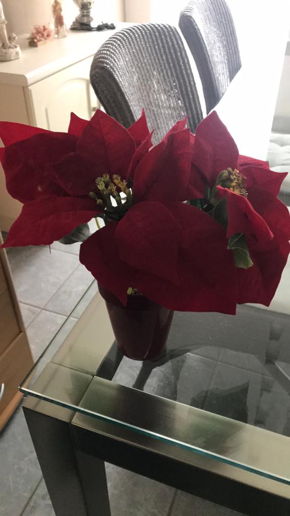 Pot met kerstroos kunstbloem, Huis en Inrichting, Woonaccessoires | Kunstplanten en Kunstbloemen, Ophalen of Verzenden, Zo goed als nieuw