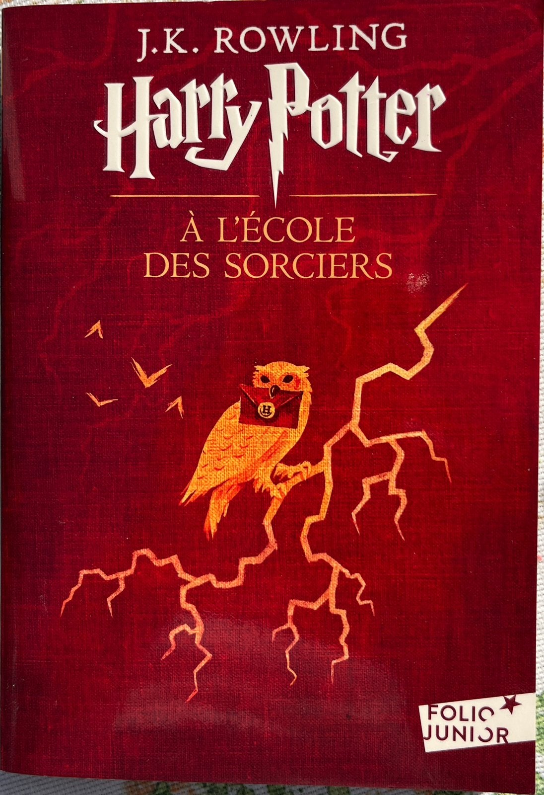 Harry Potter à l’école des sorciers - J.K. Rowling, Livres, Enlèvement, Comme neuf