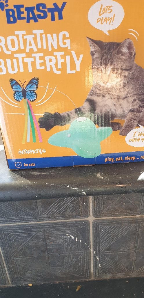 Beasty Rotating butterfly, Dieren en Toebehoren, Ophalen, Nieuw, Overig speelgoed
