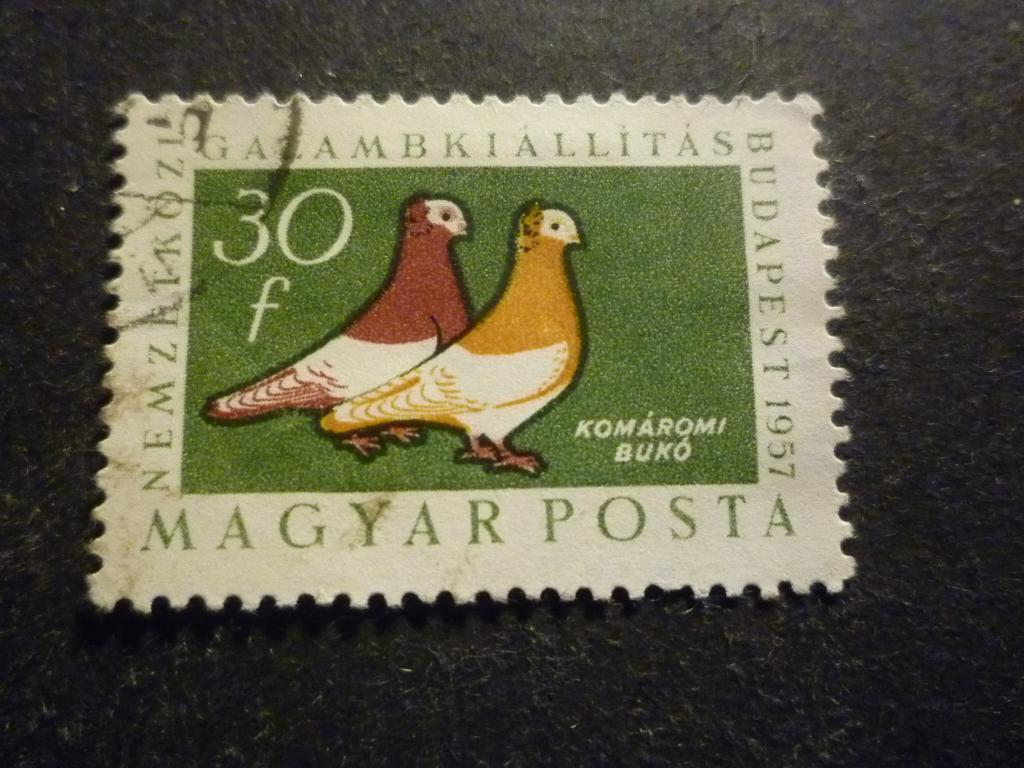 Hongarije/Hongrie 1957 Mi 1505A(o) Gestempeld/Oblitéré, Timbres & Monnaies, Timbres | Europe | Hongrie, Envoi