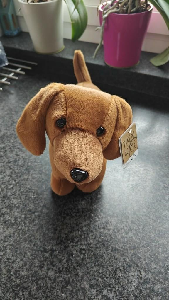 Take Me Home Teckel bruine Knuffel 33 cm – Nieuw, Ophalen, Nieuw, Hond