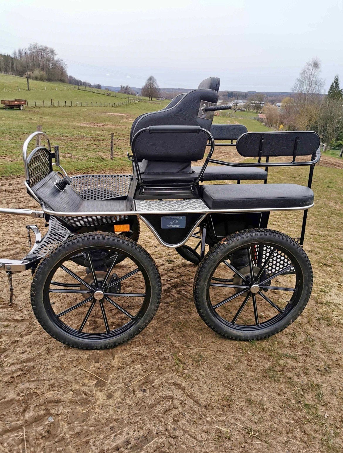Caleche cheval, Animaux & Accessoires, Voitures & Carrosses