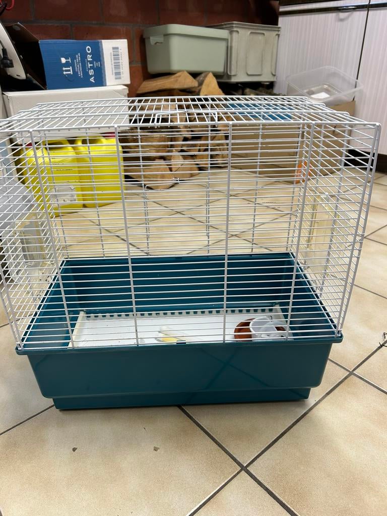 Vogelkooi, Dieren en Toebehoren, Ophalen, Gebruikt, Kooi-accessoires