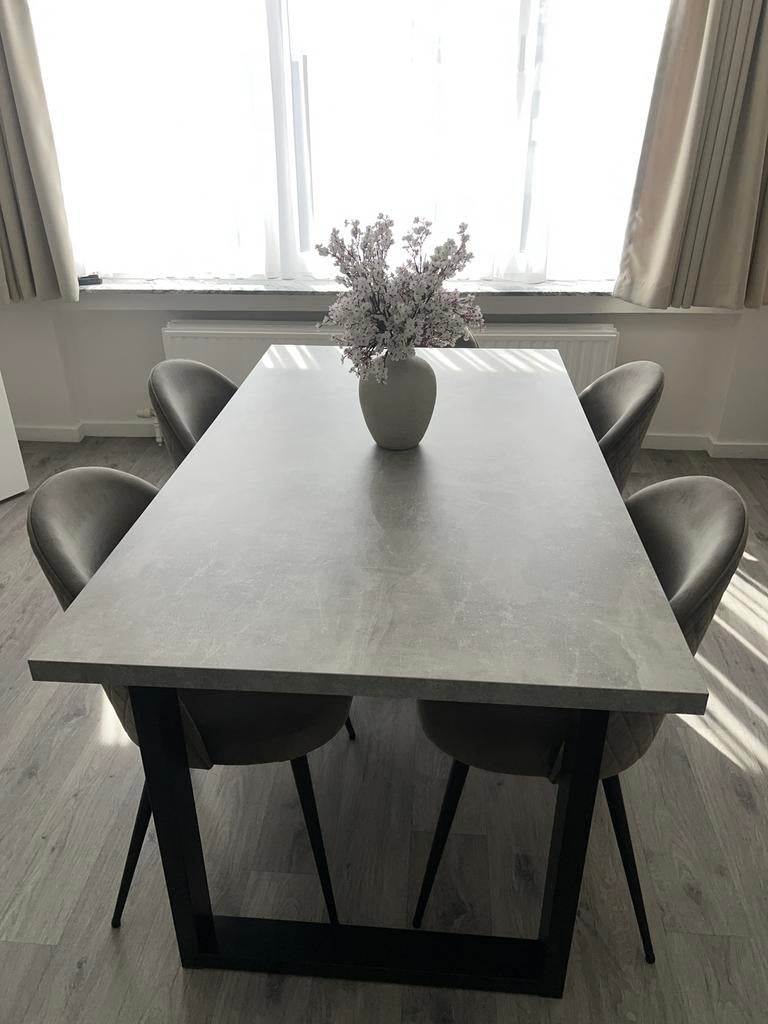 Eettafel + Stoelen, Huis en Inrichting, Tafels | Eettafels, Ophalen, Zo goed als nieuw, Vijf personen of meer, Rechthoekig