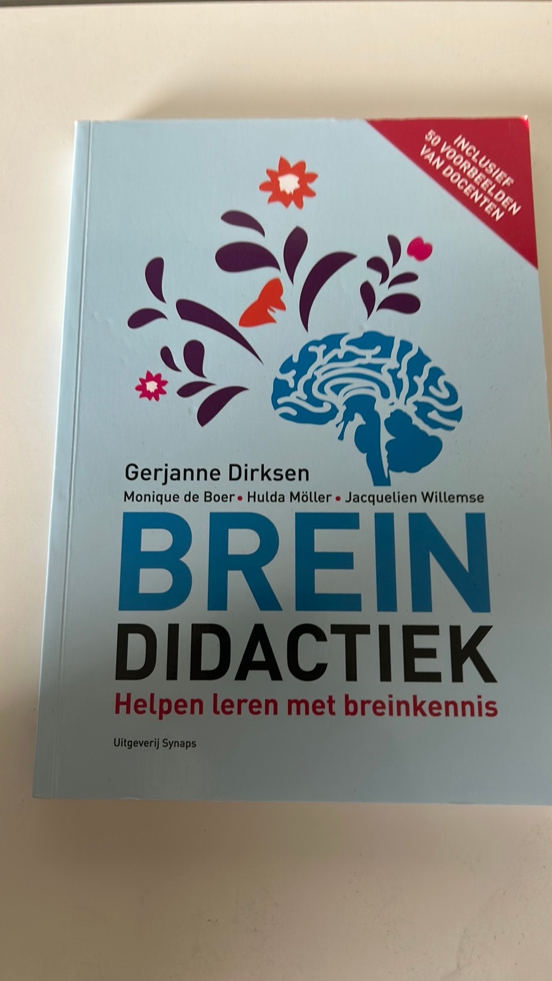 Gerjanne Dirksen - Breindidactiek, Ophalen of Verzenden, Gerjanne Dirksen; Jacquelien Willemse; Hulda Möller; Monique ...