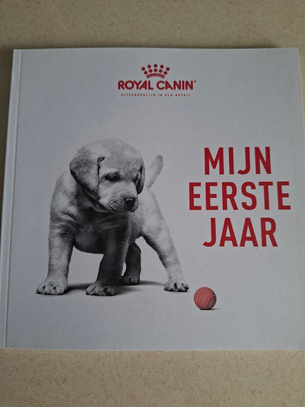 puppy boek, Livres, Animaux & Animaux domestiques, Enlèvement ou Envoi