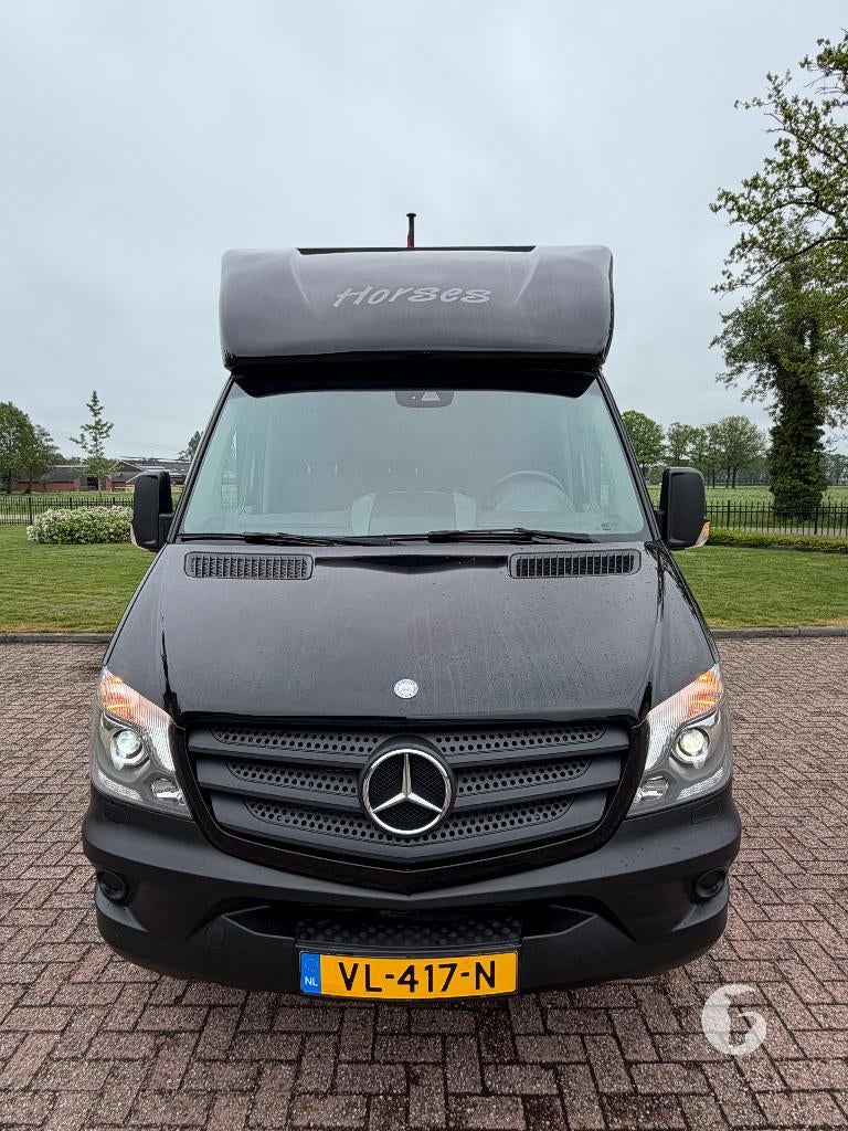 Mercedes paardencamionette, 2015 - 63.000km!, Ophalen, Zo goed als nieuw, Polyester, Overige typen
