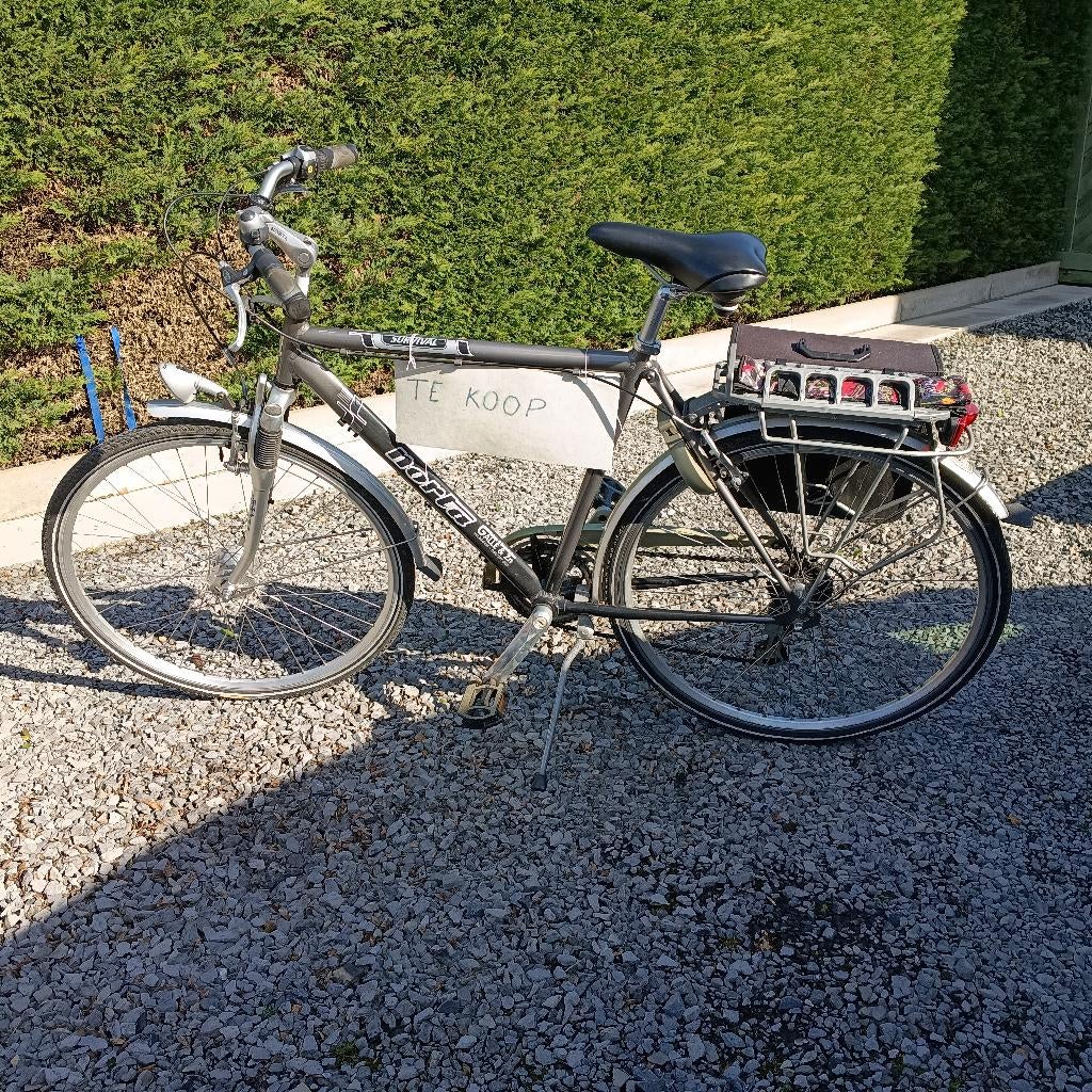 Herenfiets Norta, Autres marques, Vitesses, Enlèvement, 53 à 57 cm