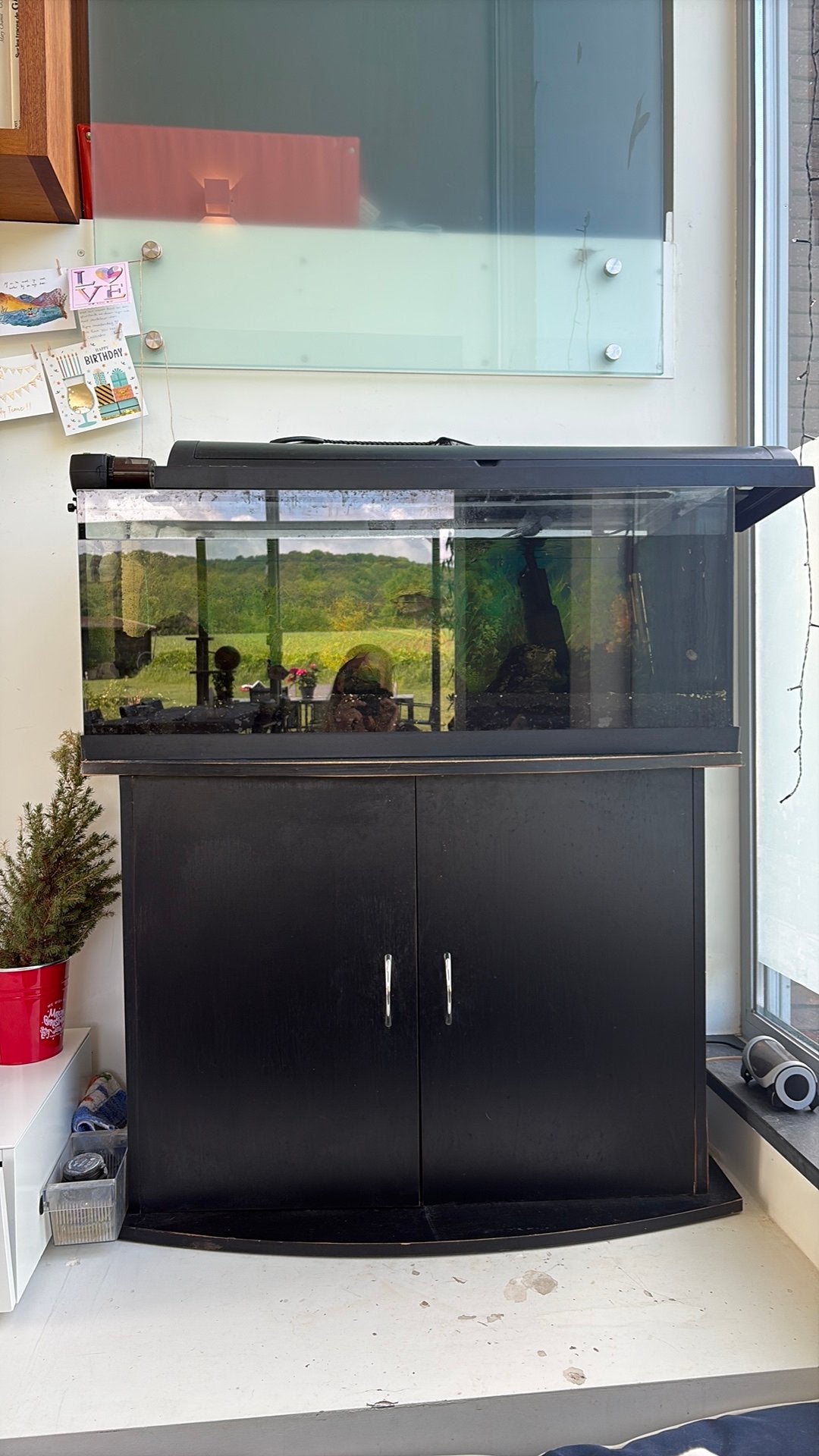 Aquarium met kast, vissen en alle toebehoren, Dieren en Toebehoren, Ophalen, Gebruikt, Gevuld zoetwateraquarium, Inclusief vissen