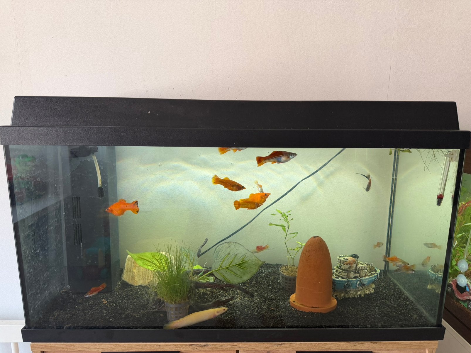 Aquarium juwel, Ophalen, Zo goed als nieuw, Filter, Juwel