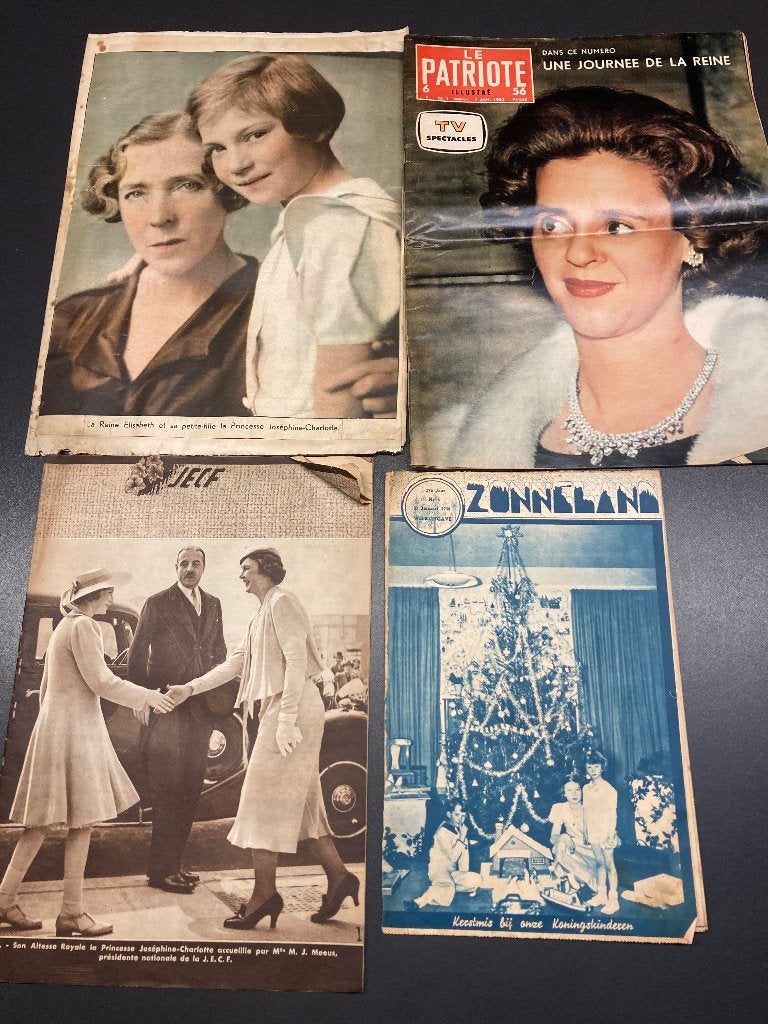 Documentation de la Maison Royale, Enlèvement, Utilisé, Magazine ou livre