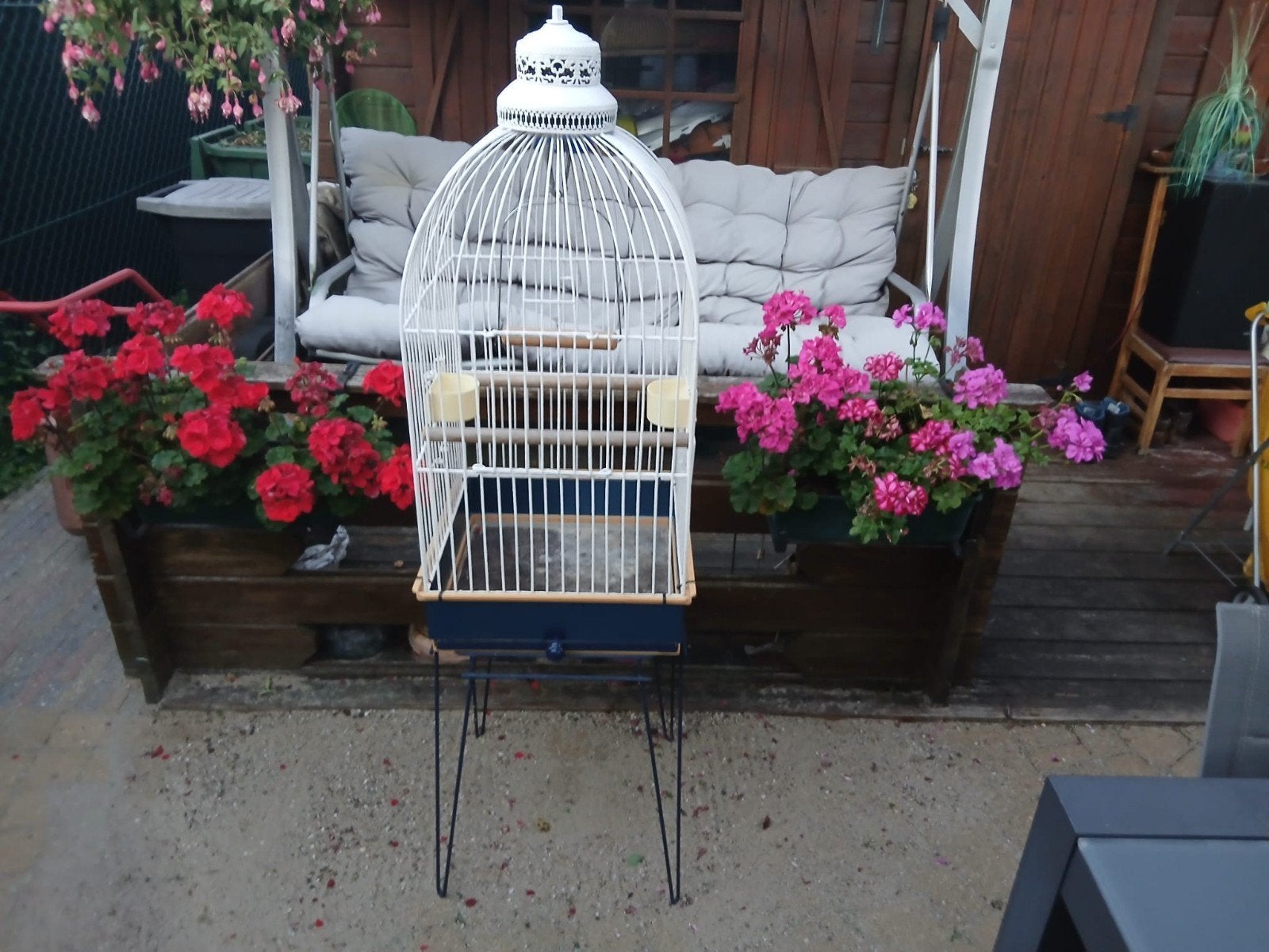 Retro papegaai kooi, Dieren en Toebehoren, Vogels | Hokken en Kooien, Ophalen, Vogelkooi