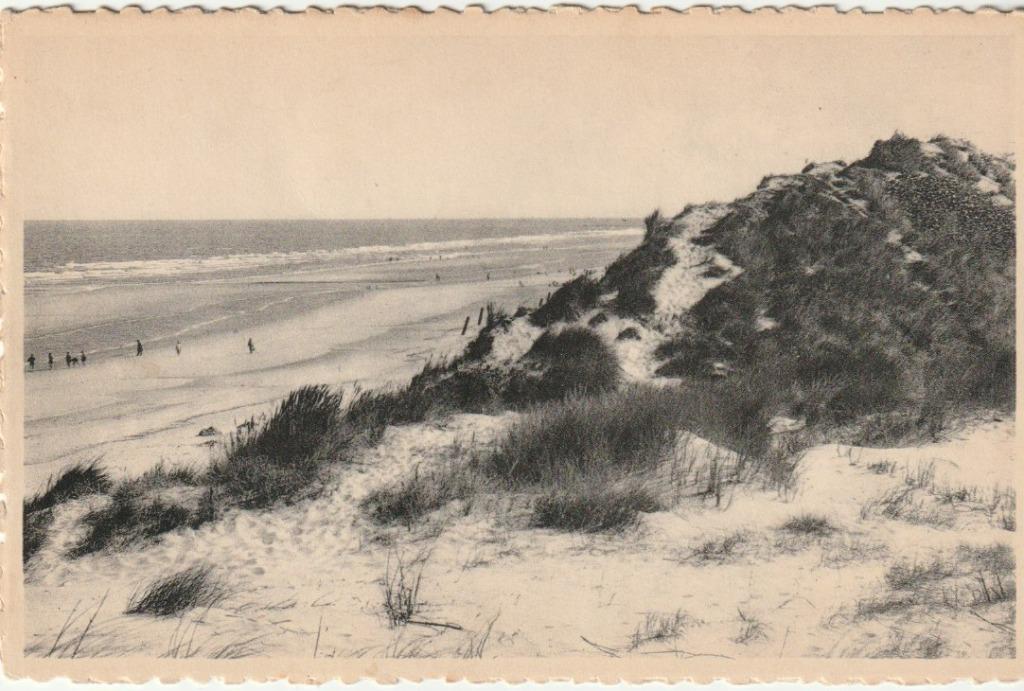 LA PANNE MER ET DUNES CARTE POSTALE 1960, Enlèvement ou Envoi, 1940 à 1960, Affranchie, Flandre Occidentale