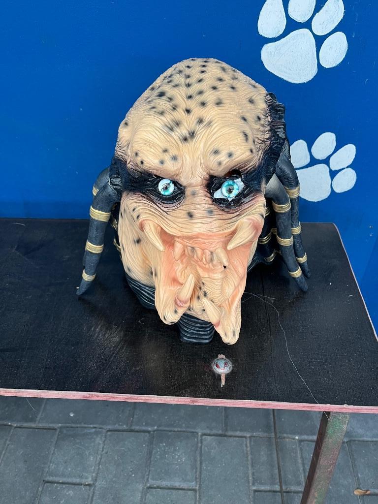 Masker halloween carnaval, Ophalen of Verzenden, Zo goed als nieuw