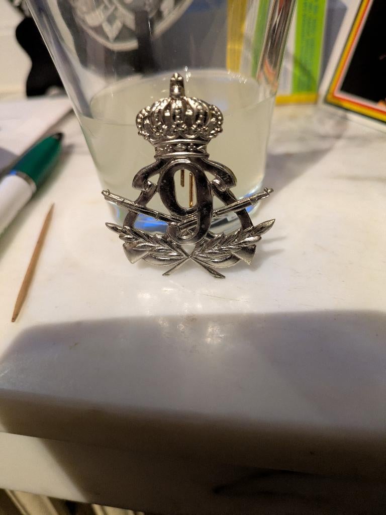 9de linie mutskenteken, Enlèvement ou Envoi, Armée de terre, Emblème ou Badge