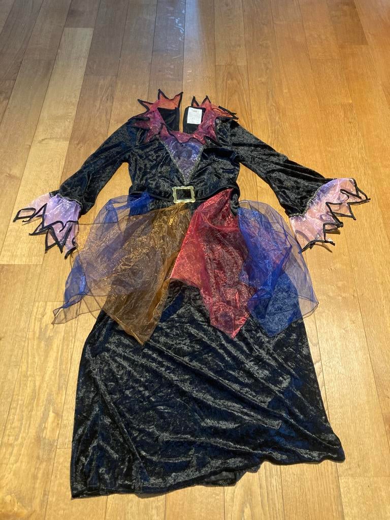 Verkleedkleed dames voor carnaval of halloween, Ophalen, Zo goed als nieuw, Maat 38/40 (M), Kleding