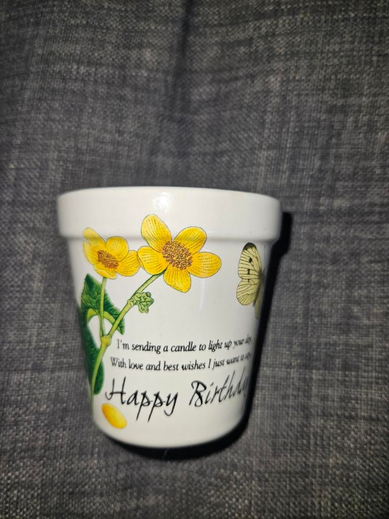 Bougie d'anniversaire Ladybug, Enlèvement ou Envoi