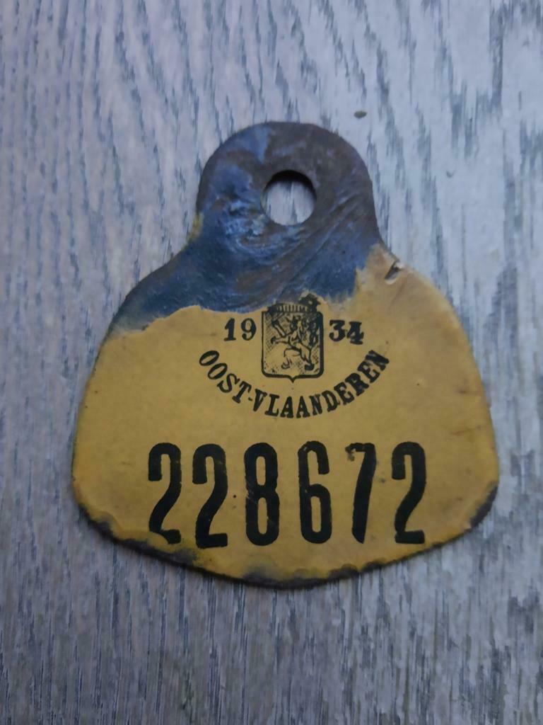 Fietsplaat Oost-Vlaanderen 1934, Antiek en Kunst, Ophalen of Verzenden