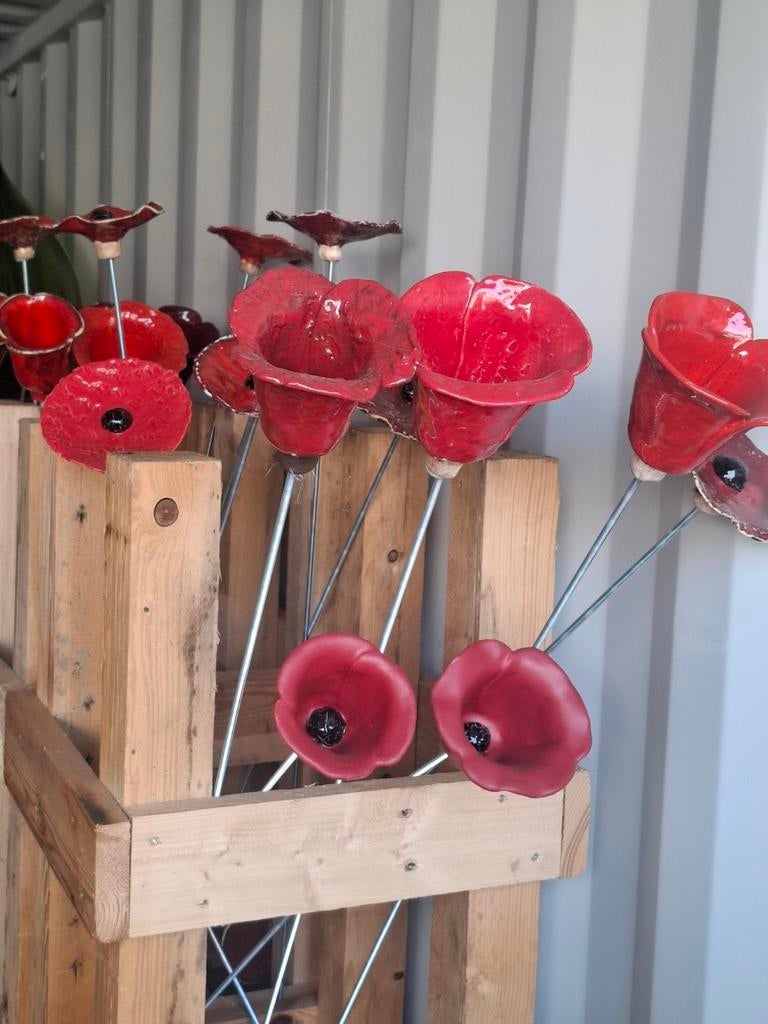 De véritables coquelicots à bordure végétale en céramique !, Jardin & Terrasse, Décoration murale de jardin, Comme neuf, Enlèvement