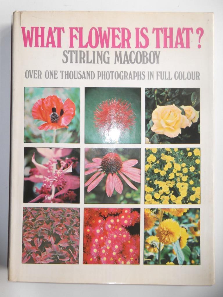 What flower is that?, Boeken, Wonen en Tuinieren, Ophalen of Verzenden