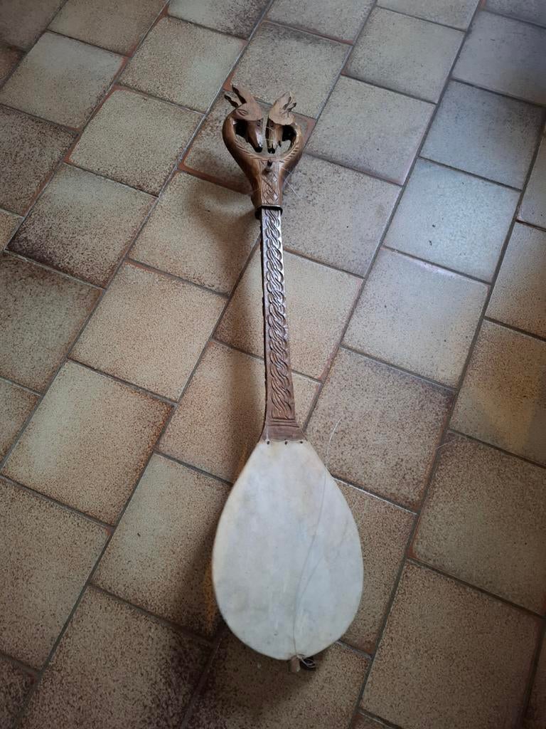 Balkanviool, Ophalen