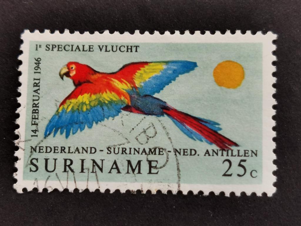 Suriname 1971 - vogels - papegaai, Ophalen of Verzenden, Gestempeld
