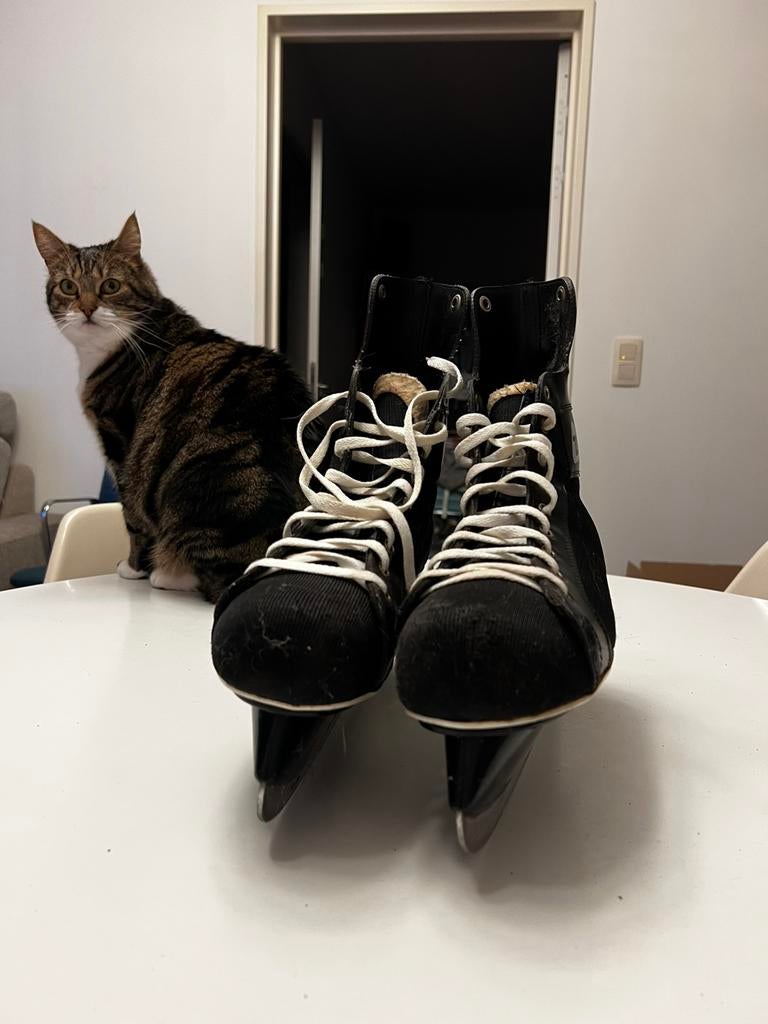 IJshockey schaatsen, Sport en Fitness, Ophalen, Schaatsen