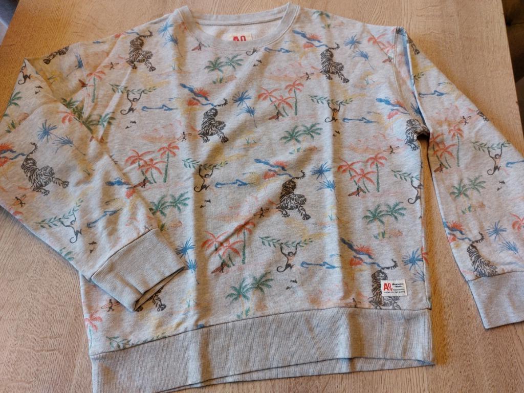 Trui AO76 14 jaar, Gebruikt, American Outfitters, Trui of Vest, Ophalen of Verzenden